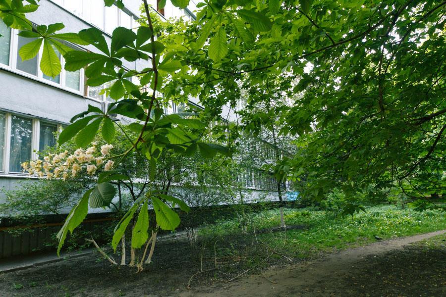 Bessarabsky Kvartal Kiev Ngoại thất bức ảnh